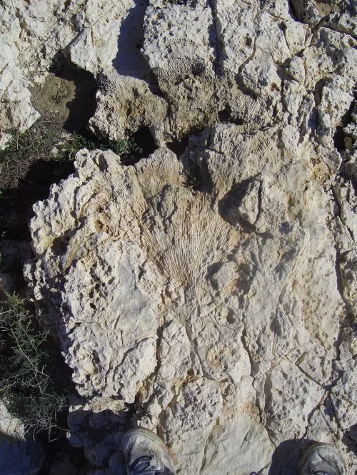 Pictures of coastal rock formations near agia nappa cyprus 05