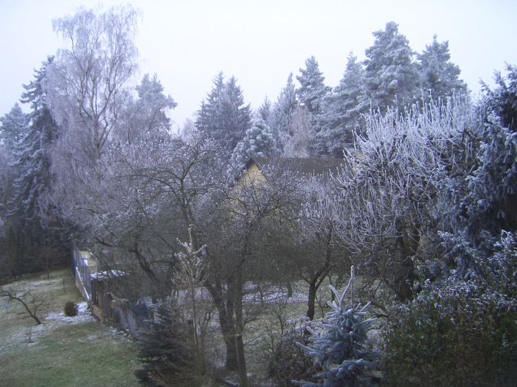 picture of fluffy snow in countryside of Czech Republic 01