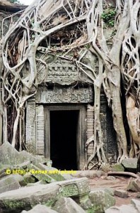 Friend-pictures-of-Thailand_034_4_01