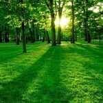 God's Vision for US
