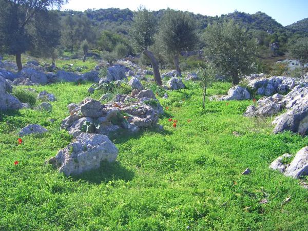 Ruins Near Myra, Turkey