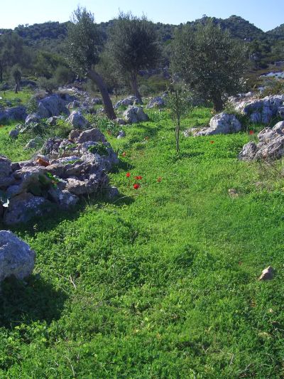 Ruins Near Myra, Turkey