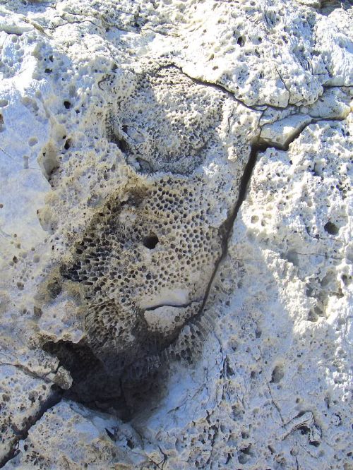 Pictures of coastal rock formations near agia nappa cyprus 12