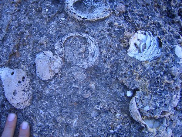 Pictures of coastal rock formations near agia nappa cyprus 13