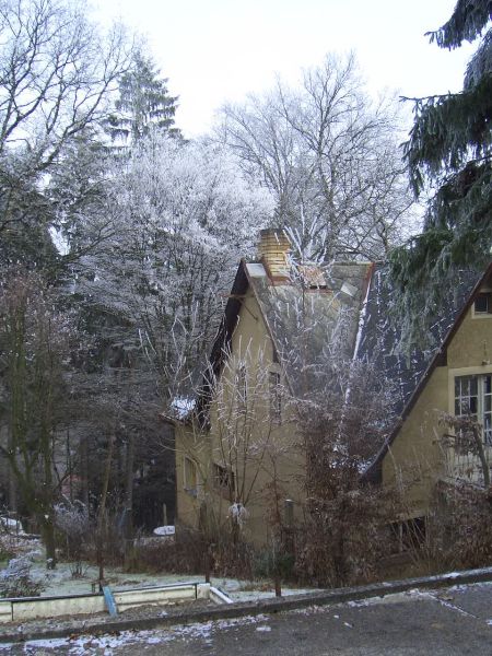 picture of fluffy snow in countryside of Czech Republic 07