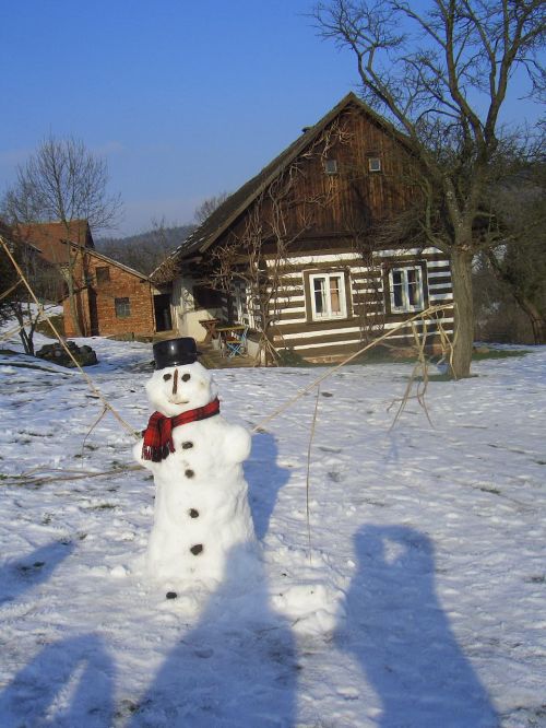 picture of fluffy snow in countryside of Czech Republic 12