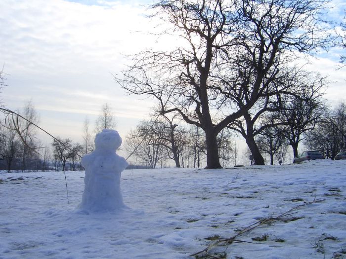 picture of fluffy snow in countryside of Czech Republic 15