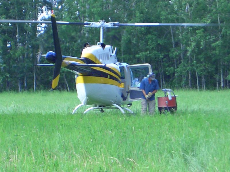 treeplanting-093.JPG (129359 bytes)