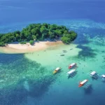 Instructions Download Project Dictionary