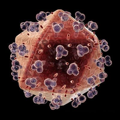 computer virus - HIV