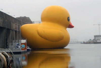 bimbus duckie giant-rubber-duckie.jpg