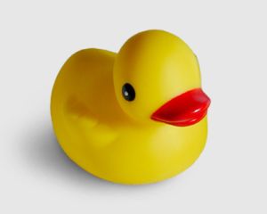 bimbus duckie rubber-duckie.jpg