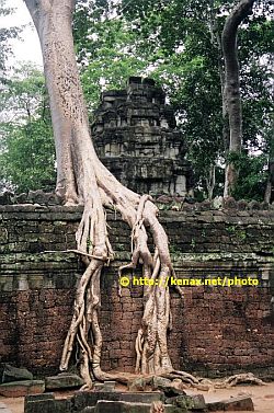 Friend-pictures-of-Thailand_028_10_01