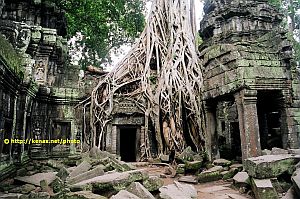 Friend-pictures-of-Thailand_032_6_01