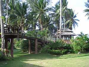 Koh-Phangan-Thailand-0_CIMG0014