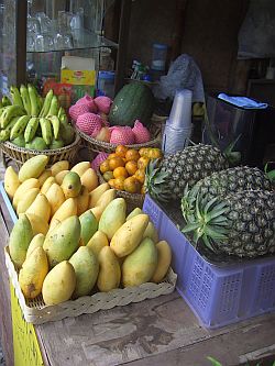 Koh-Phangan-Thailand-1_CIMG0066
